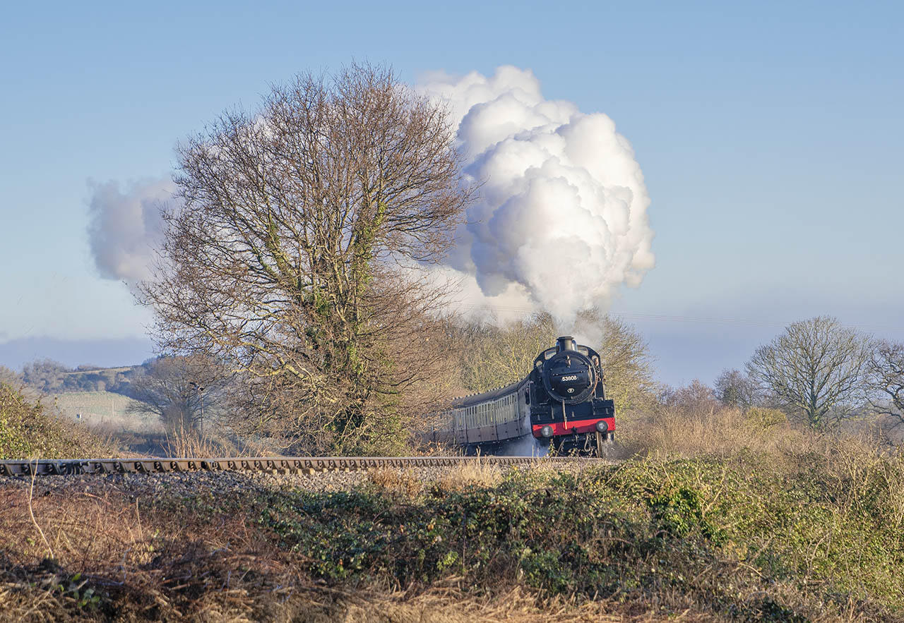 SDJR 2-8-0 no 53808 climbs towards Washford at the Playing Field on 30 December 2019.

© Alan Turner 