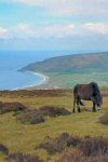 Porlock Bay