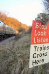 Teddy Bear Crossing © Roger Stobbs