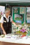 Taunton Flower Show © Lumber Jack