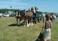 Horse Bus at the Rally